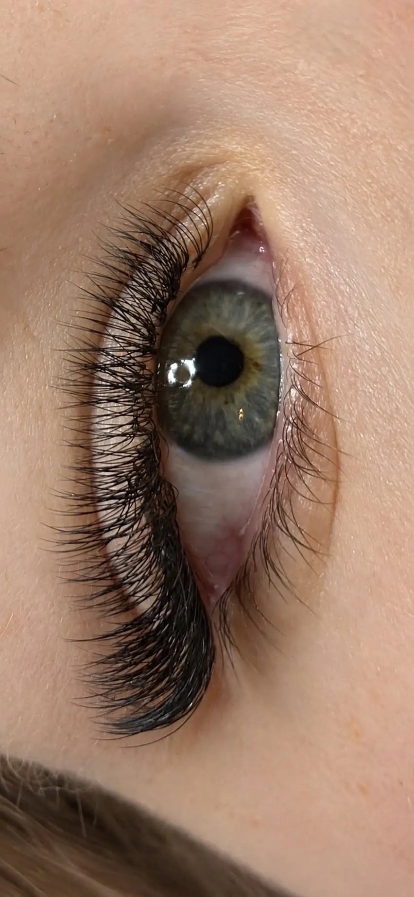 Wimpernverlängerung im Seitenprofil