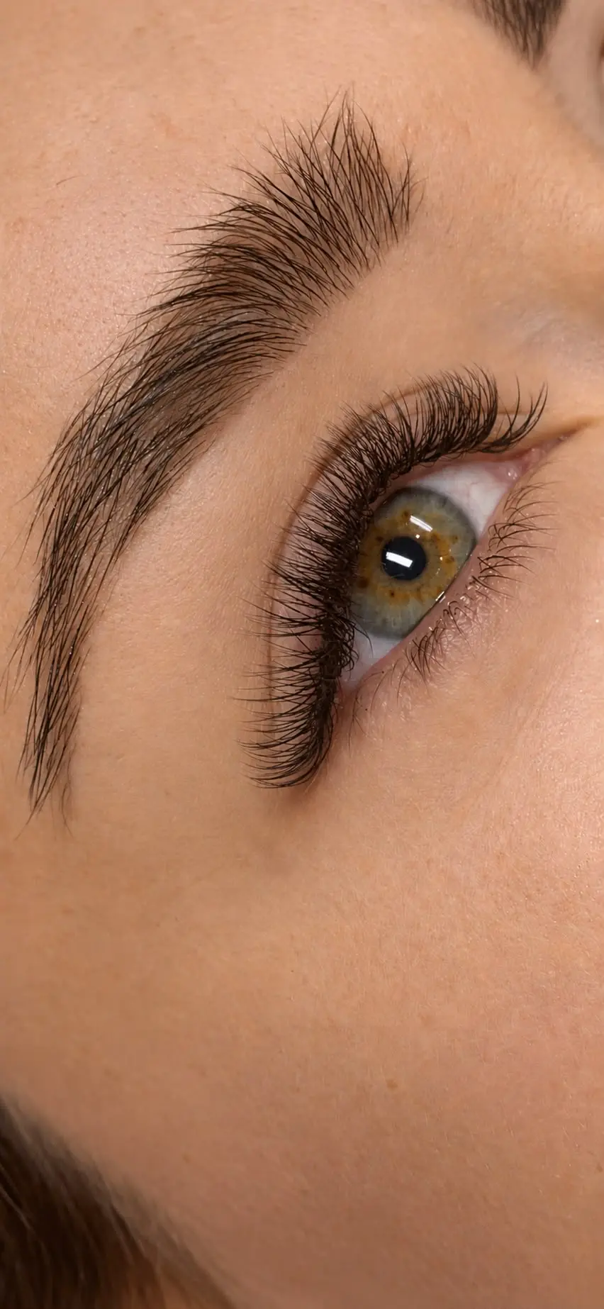 Augenbrauengestaltung mit Wimpernverlängerung, Nahaufnahme